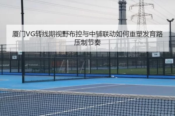厦门VG转线期视野布控与中辅联动如何重塑发育路压制节奏